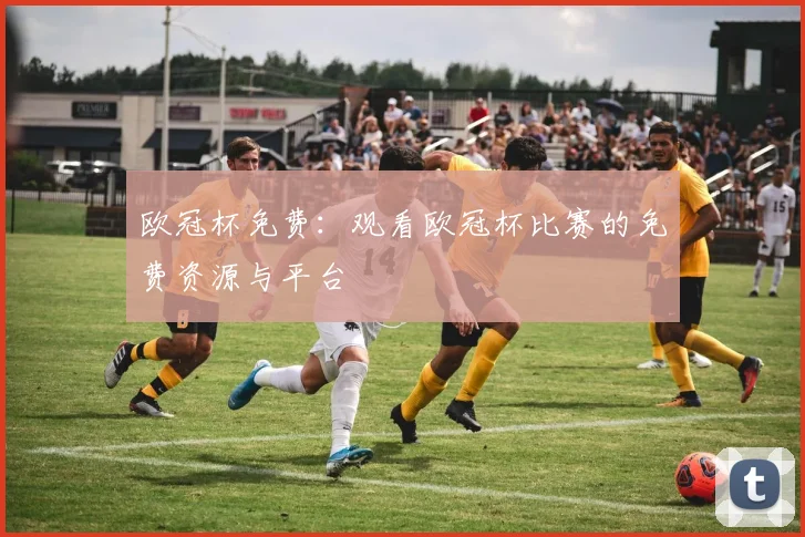 欧冠杯免费：观看欧冠杯比赛的免费资源与平台