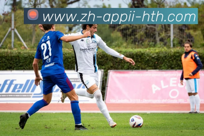 华体会hth服务体系